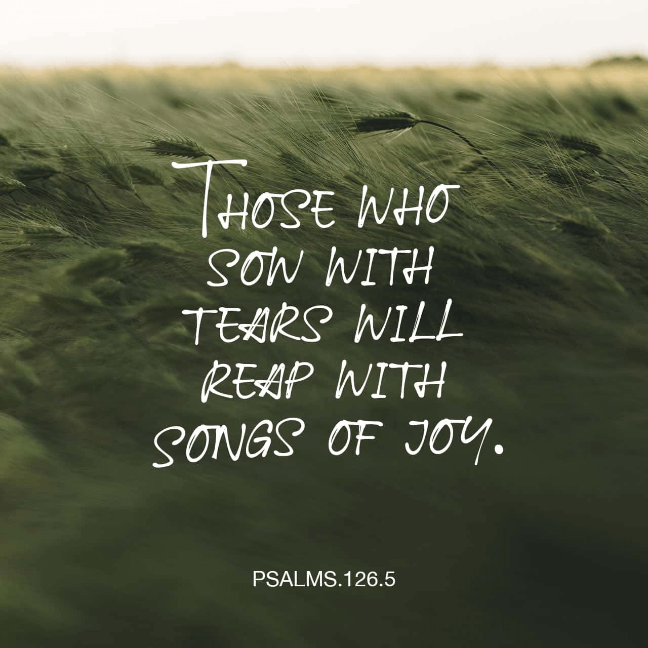 Verse image for Nick Vogel's Psalms 126:5 Devotional