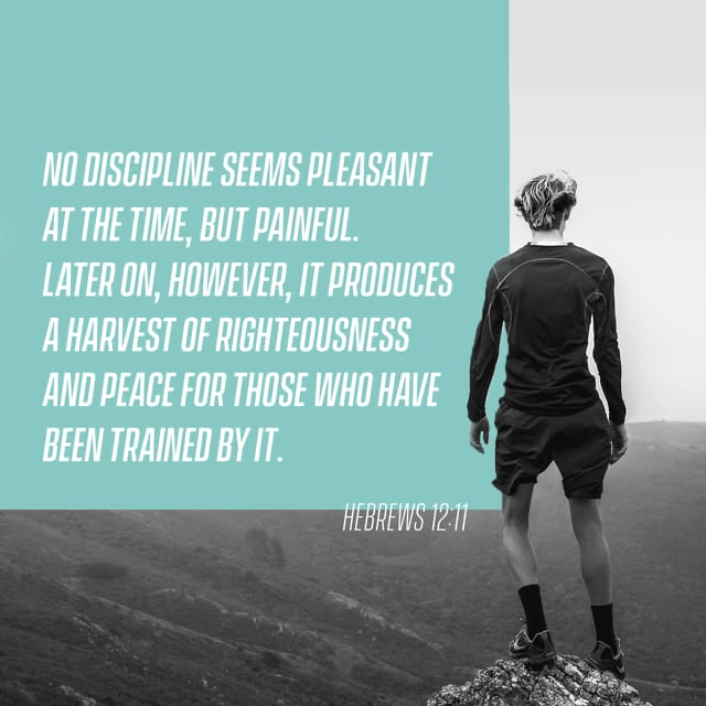 Verse image for Nick Vogel's How to be Disciplined devotional on Hebrews 12:11